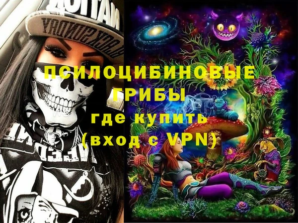 соль ск Алексин