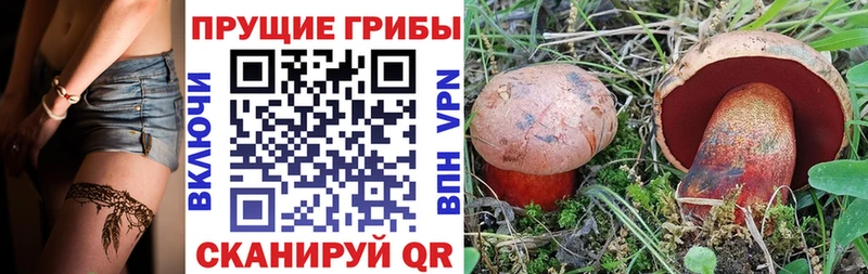 Галлюциногенные грибы мухоморы мориарти формула Салават